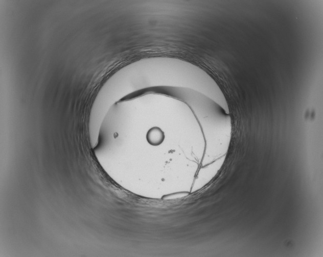 X0000111030045200907231631