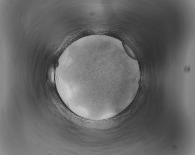 X0000111030046200907231631