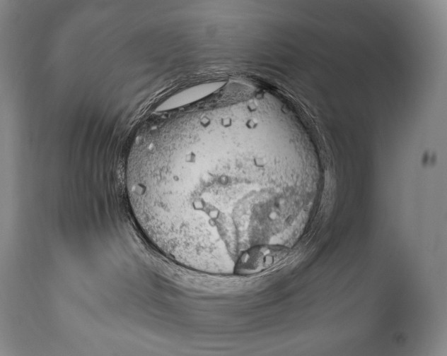 X0000111030048200907231631