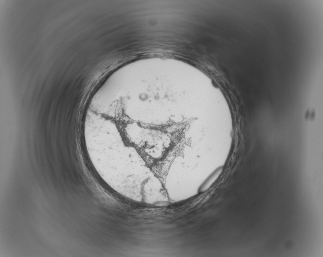 X0000111030049200907231630