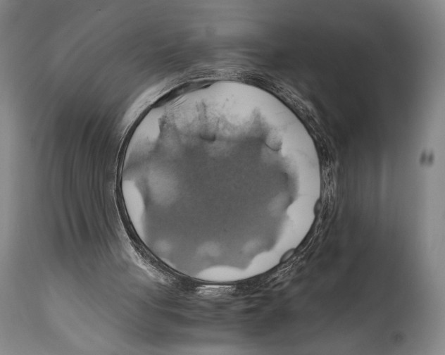 X0000111030051200907231630