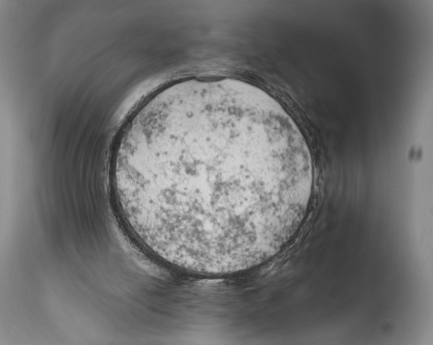 X0000111030054200907231630