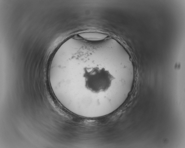 X0000111030055200907231630