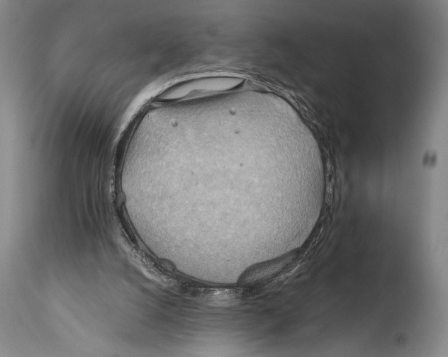 X0000111030056200907231630