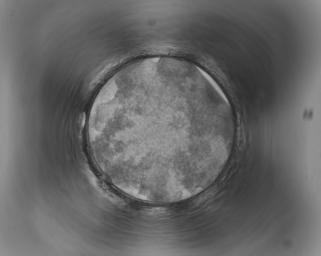 X0000111030058200907231630