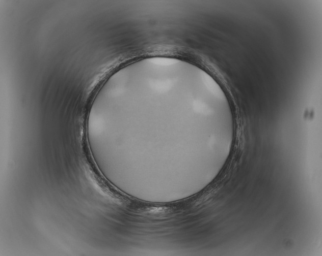 X0000111030059200907231630