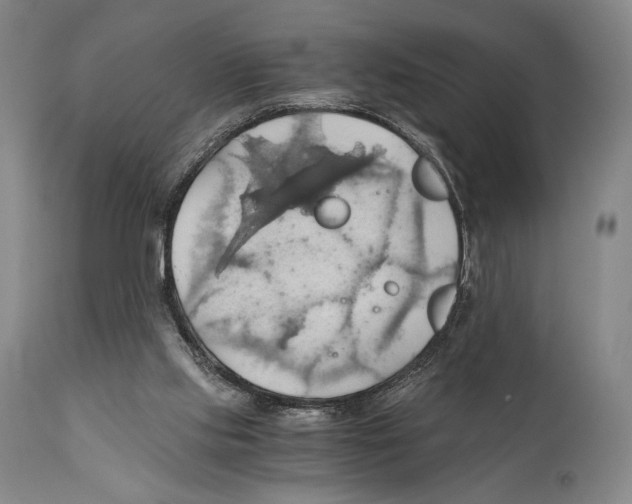 X0000111030061200907231630