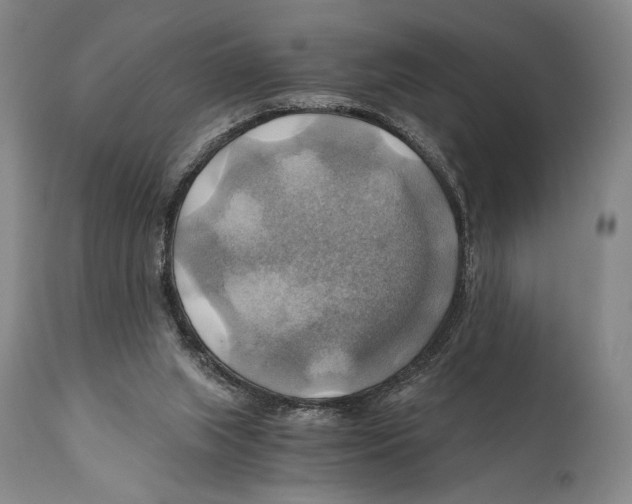 X0000111030063200907231630