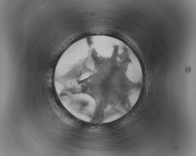 X0000111030065200907231630