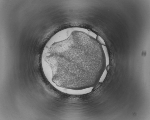 X0000111030066200907231630