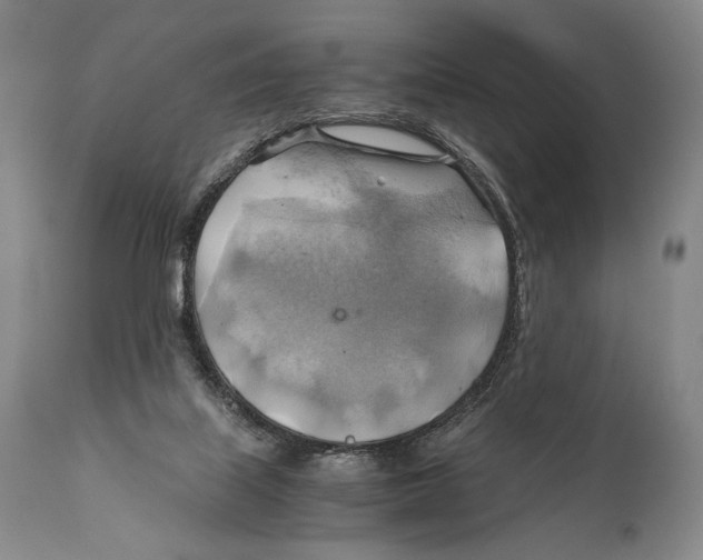 X0000111030067200907231630