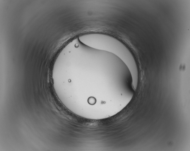 X0000111030068200907231630