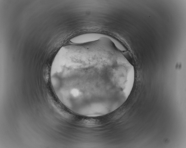 X0000111030069200907231630