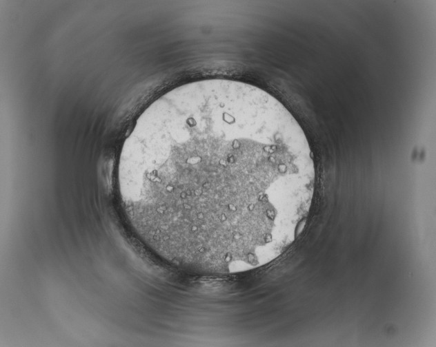 X0000111030070200907231630