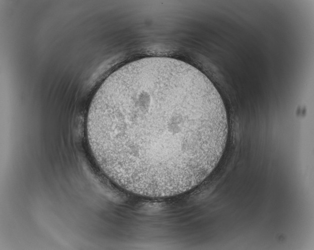 X0000111030071200907231630