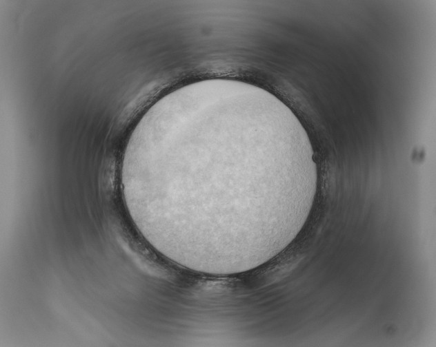 X0000111030072200907231630