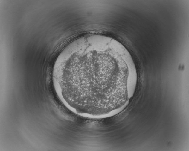 X0000111030074200907231630