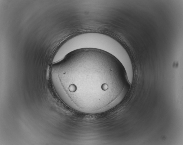 X0000111030076200907231631