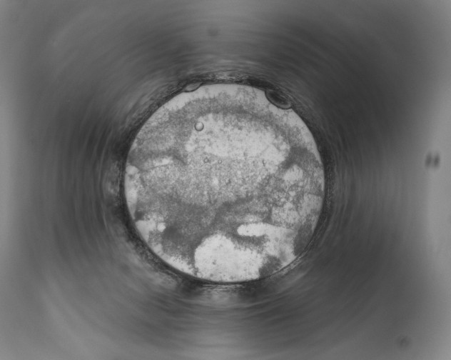 X0000111030078200907231631