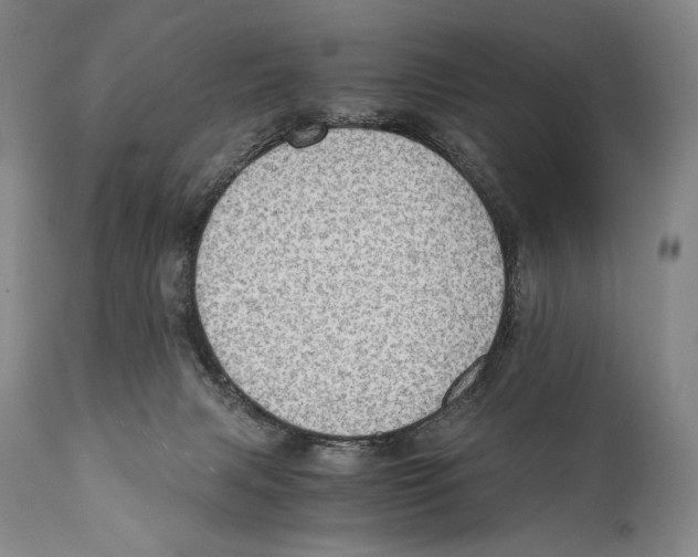 X0000111030079200907231631