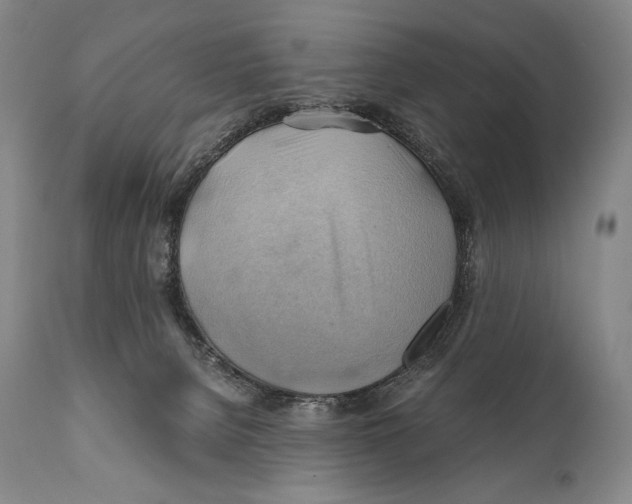 X0000111030080200907231631