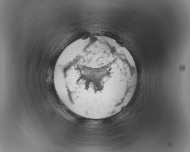 X0000111030081200907231631