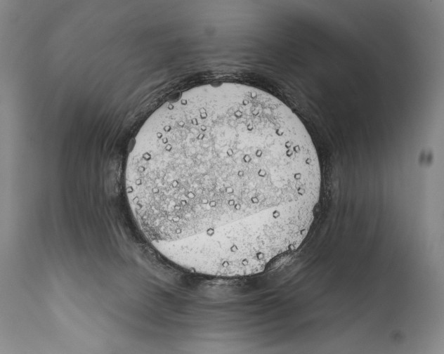 X0000111030082200907231631