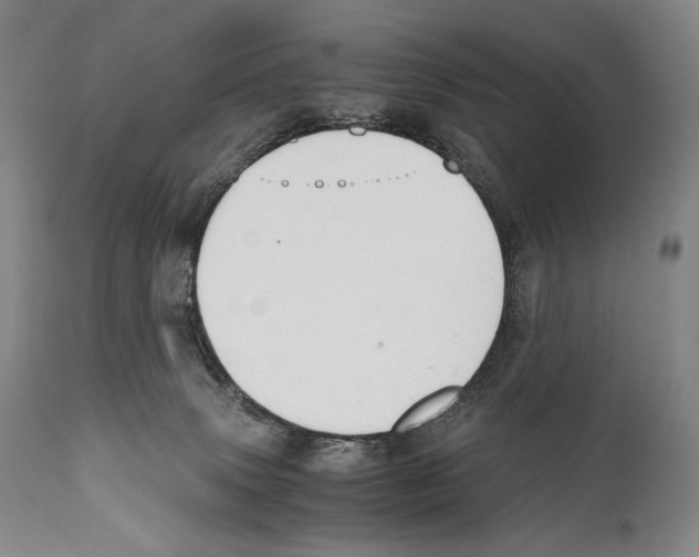 X0000111030083200907231631