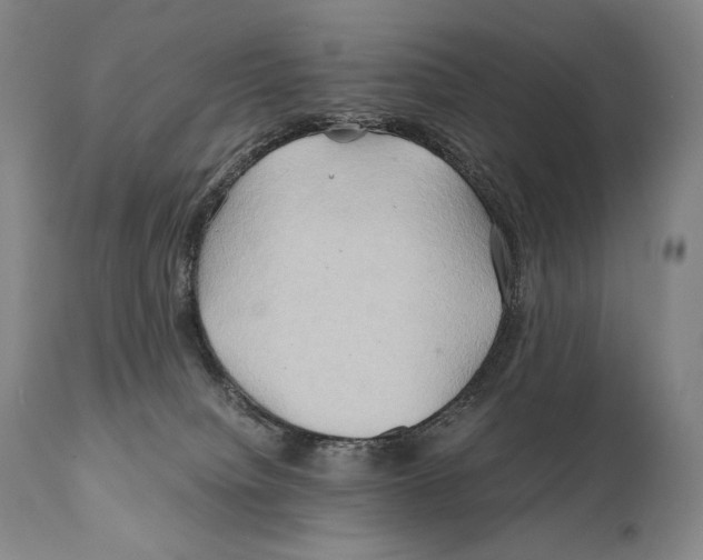 X0000111030084200907231631