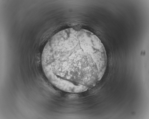 X0000111030085200907231631