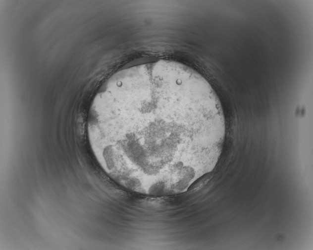 X0000111030086200907231631