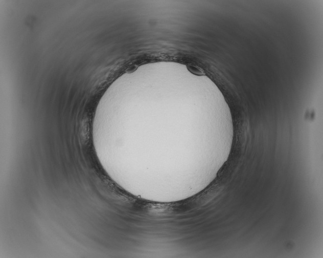 X0000111030088200907231631