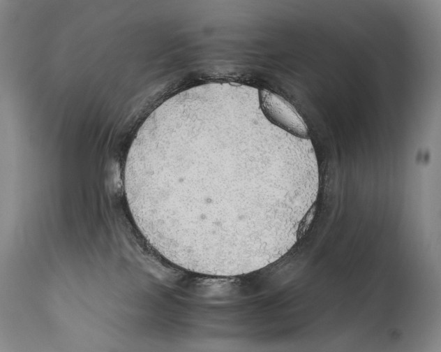 X0000111030089200907231631