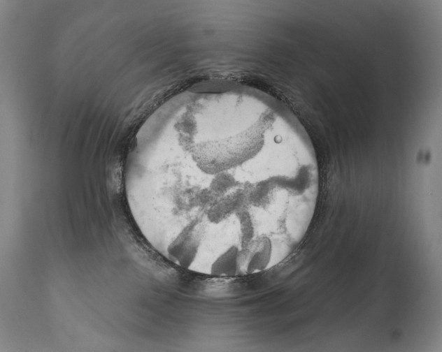 X0000111030090200907231631