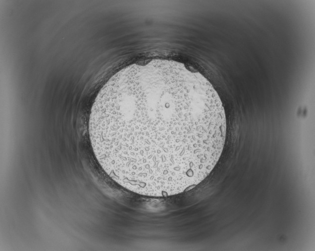 X0000111030091200907231631