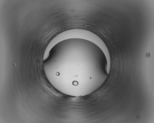 X0000111030092200907231631