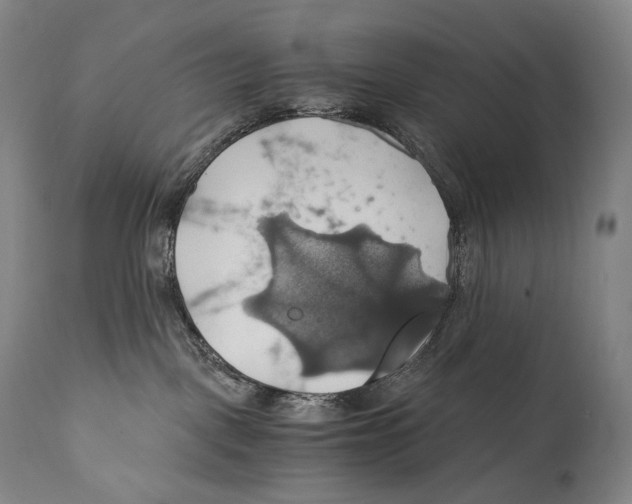 X0000111030093200907231631