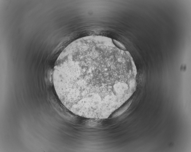 X0000111030094200907231631