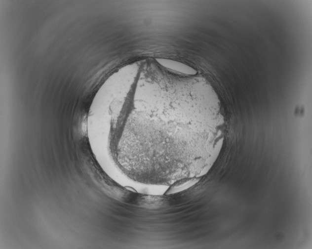 X0000111030095200907231631