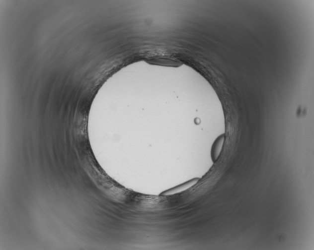 X0000111030096200907231631