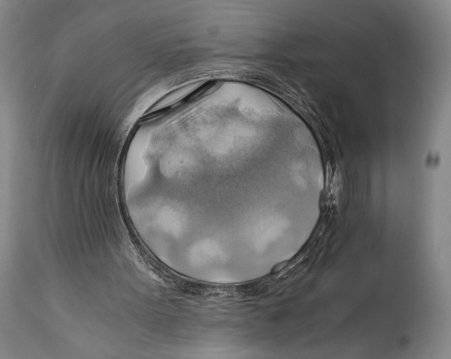 X0000111030099200907231630