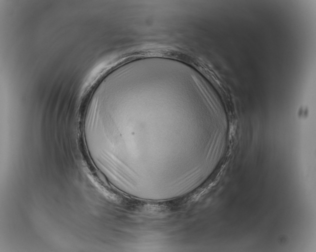 X0000111030101200907231630