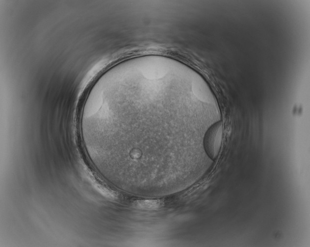 X0000111030102200907231630