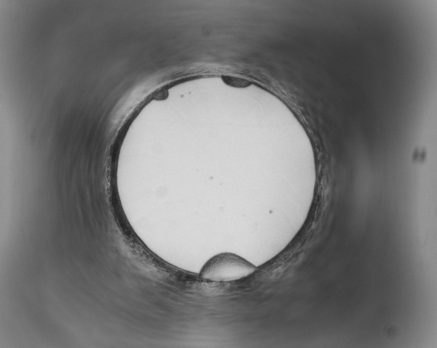 X0000111030103200907231630