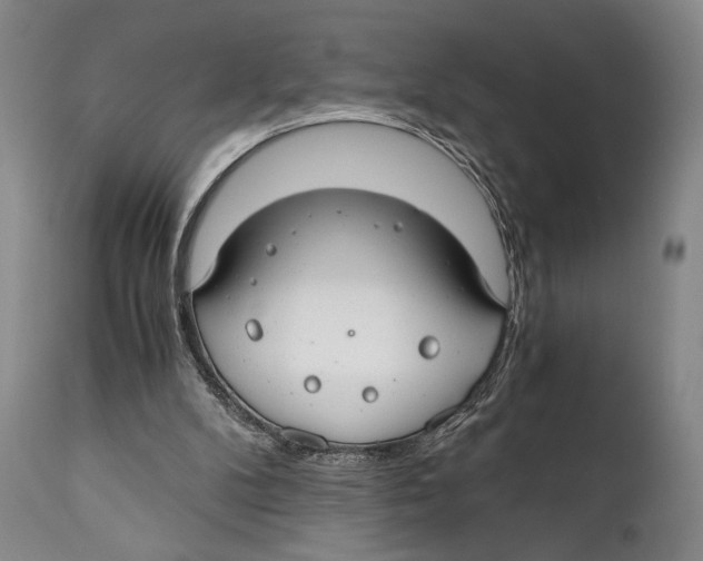 X0000111030104200907231630