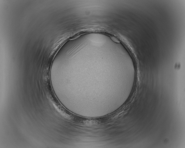 X0000111030105200907231630