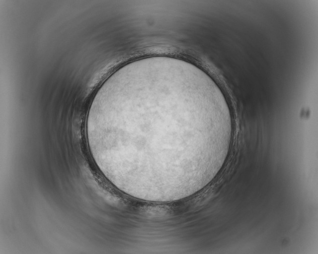 X0000111030106200907231630