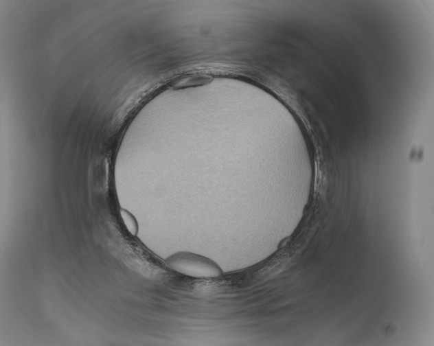 X0000111030109200907231630