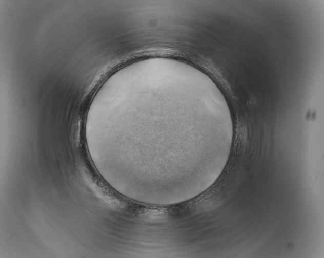 X0000111030110200907231630