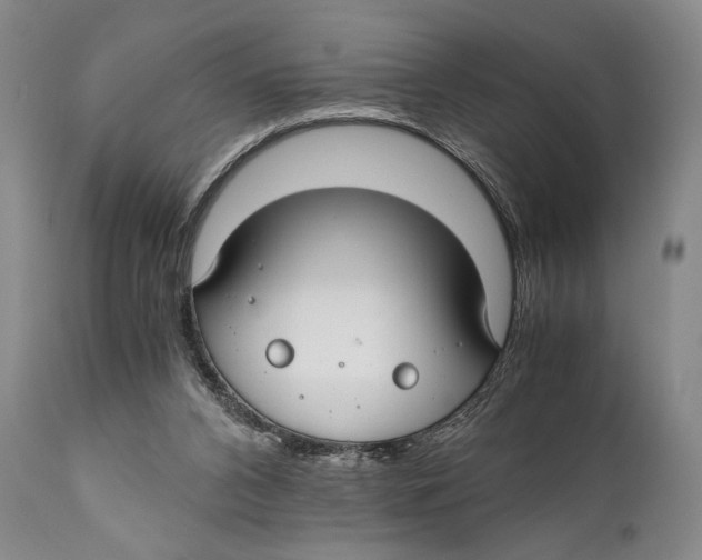 X0000111030112200907231630